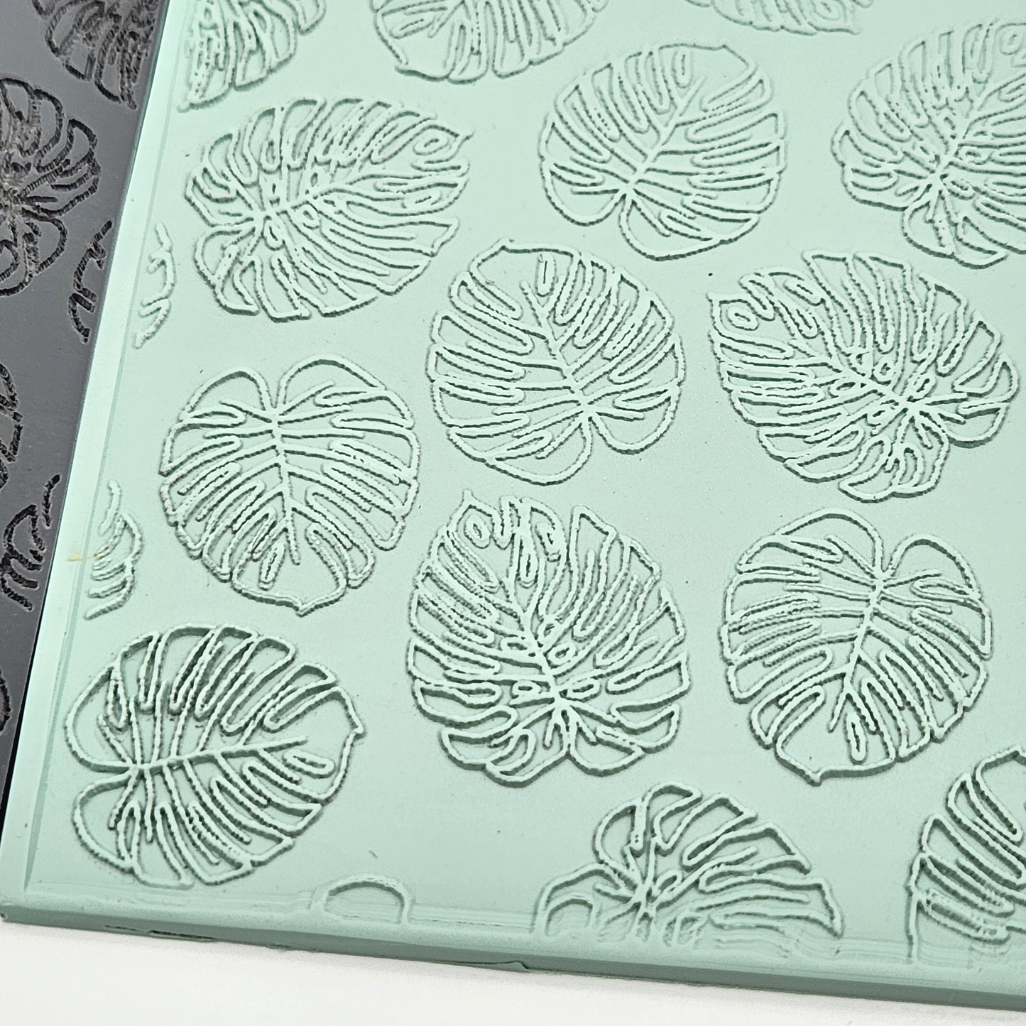Monstera Leaves Texture Sheet