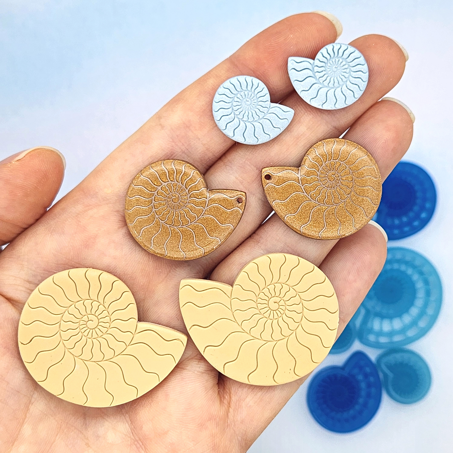 Ammonite Shells - Mirrored Pair