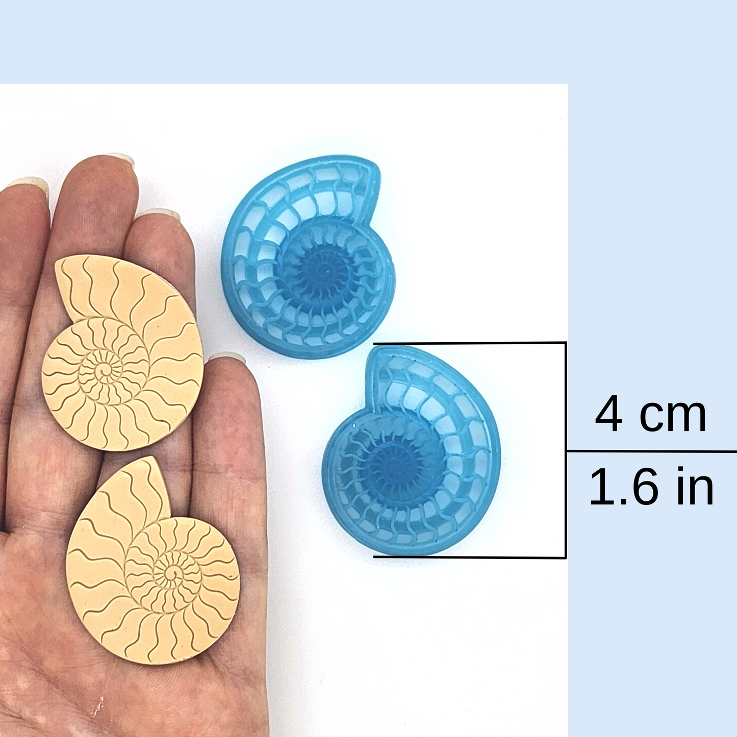 Ammonite Shells - Mirrored Pair