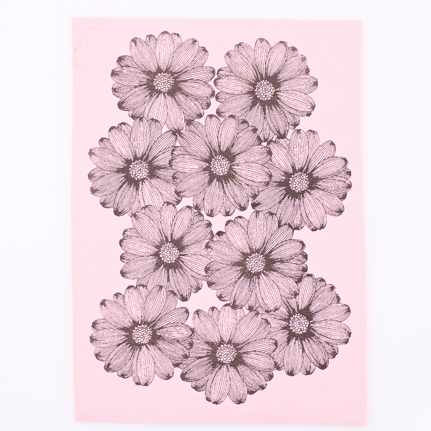 Big Daisies Silk Screen