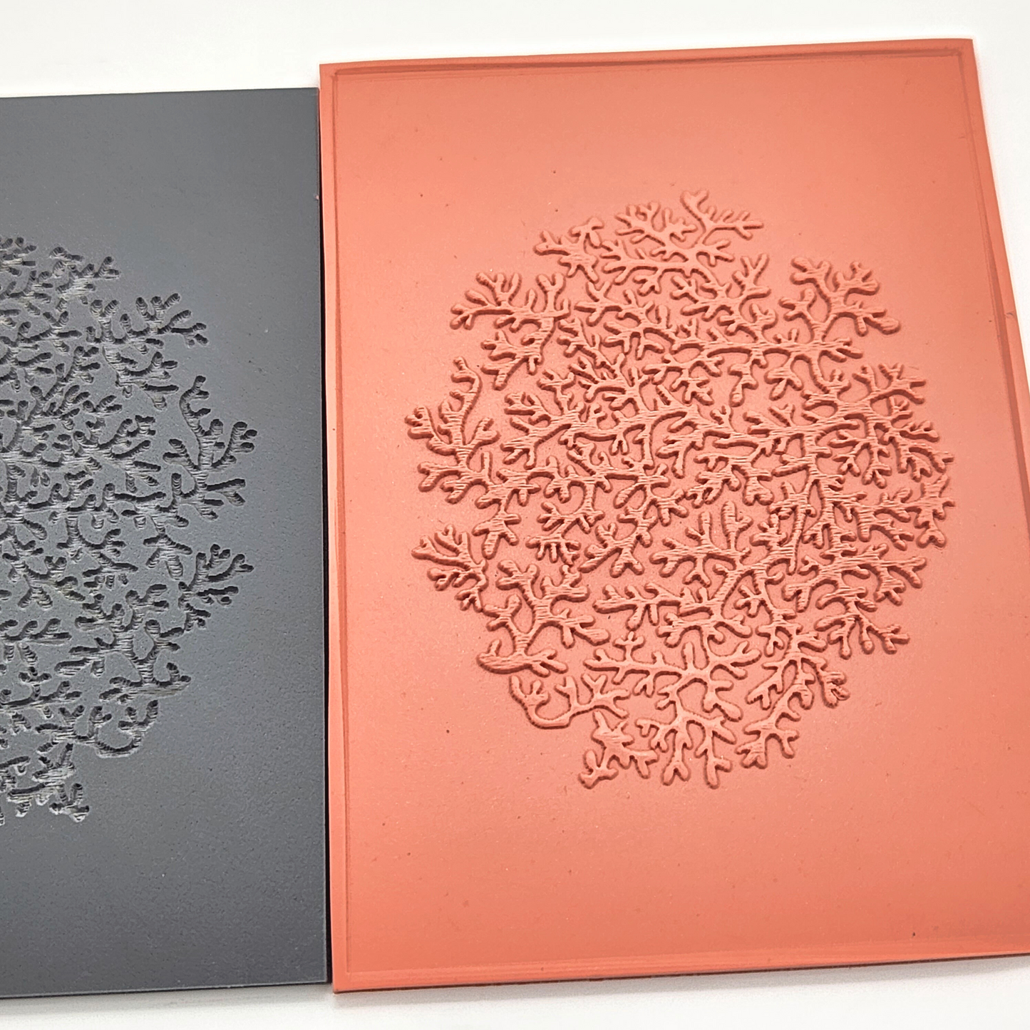 Coral Garden Texture Sheet