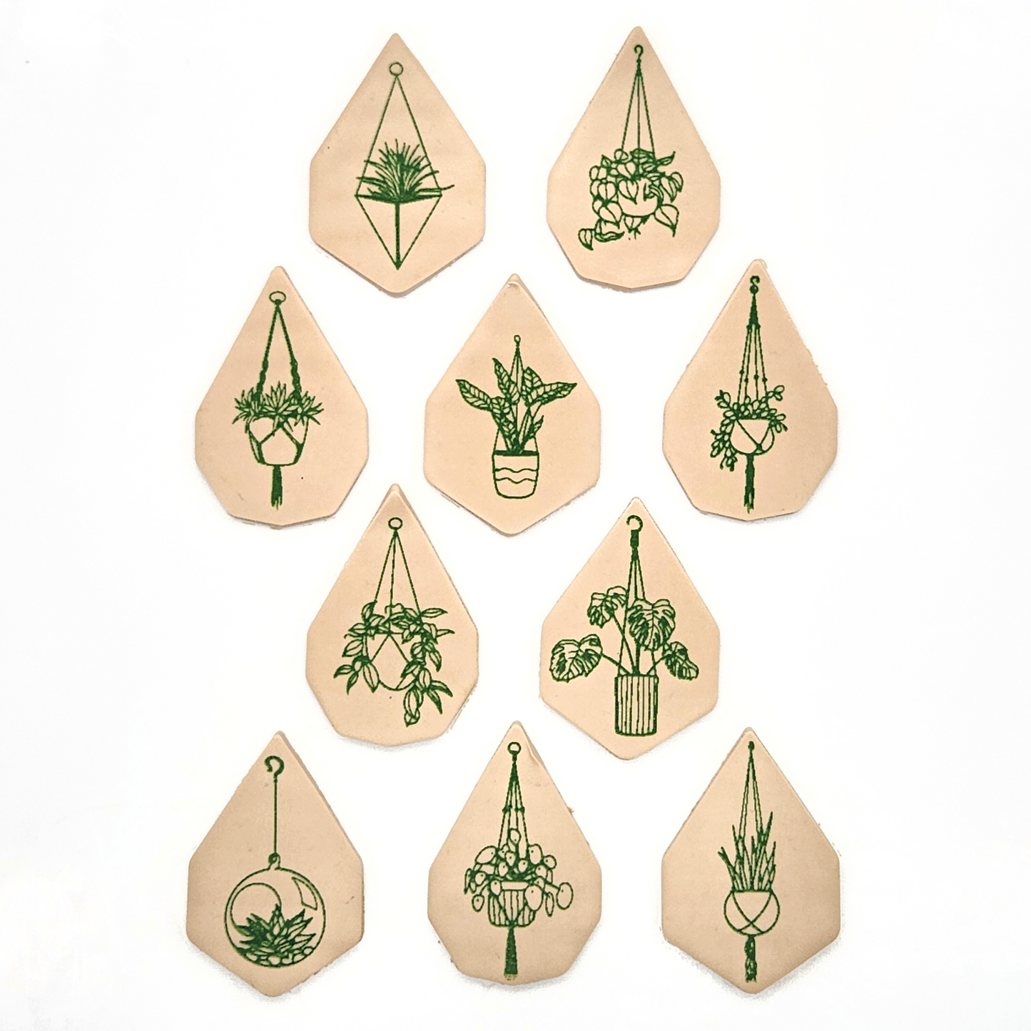 Hanging Plants Silk Screen