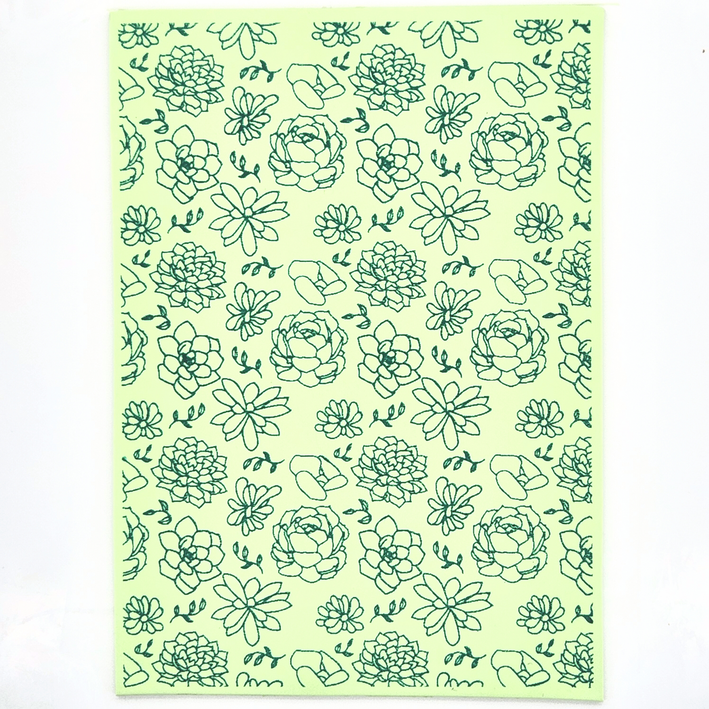 Succulents Silk Screen