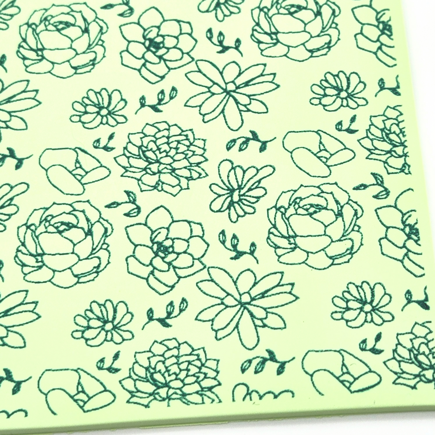 Succulents Silk Screen