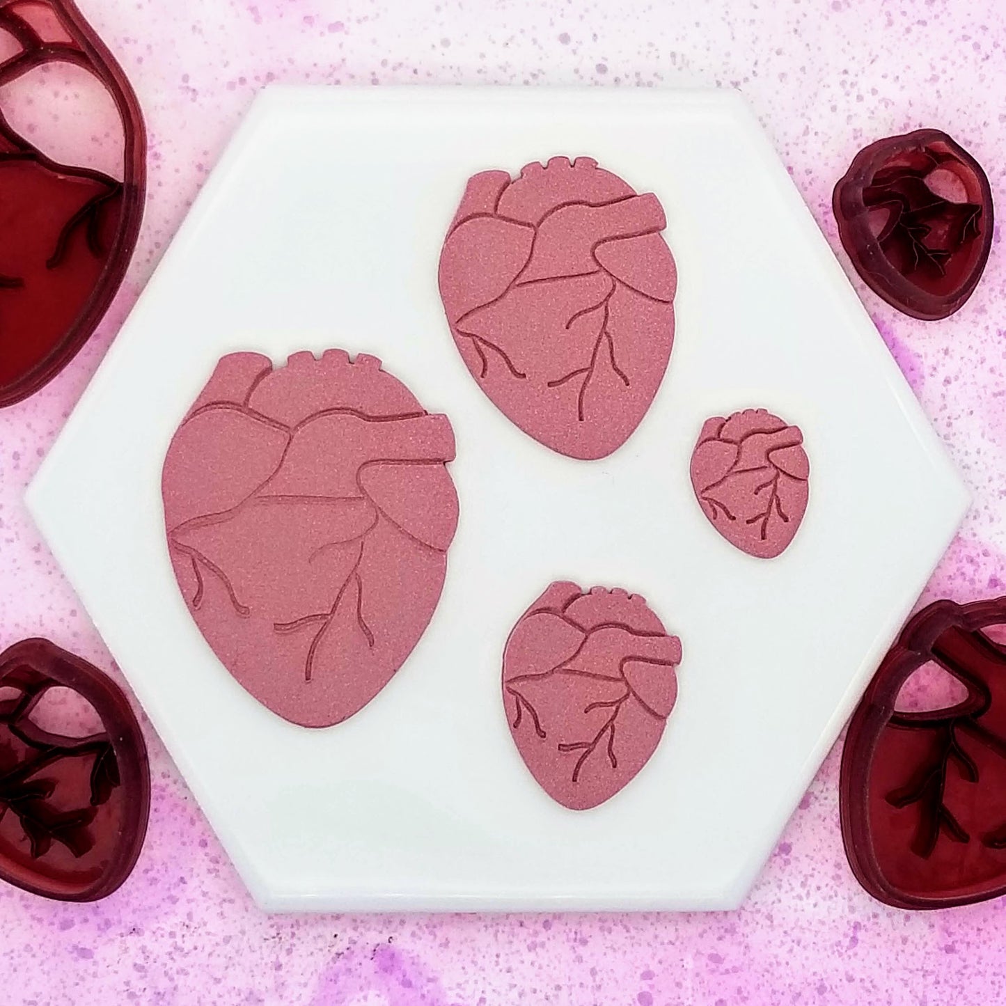 Realistic medical anatomical heart polymer clay with anatomical heart clay cutter on the sides