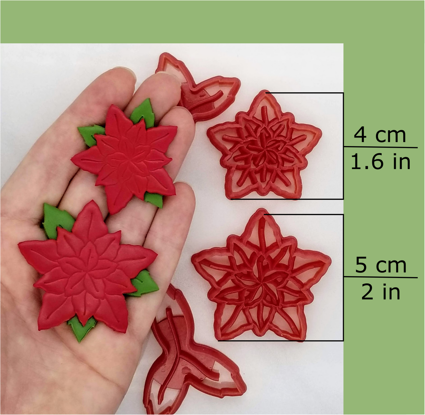 Poinsettia