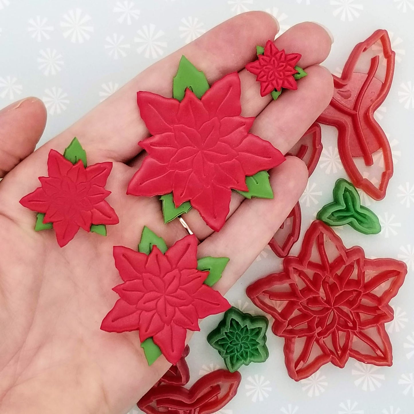 Poinsettia