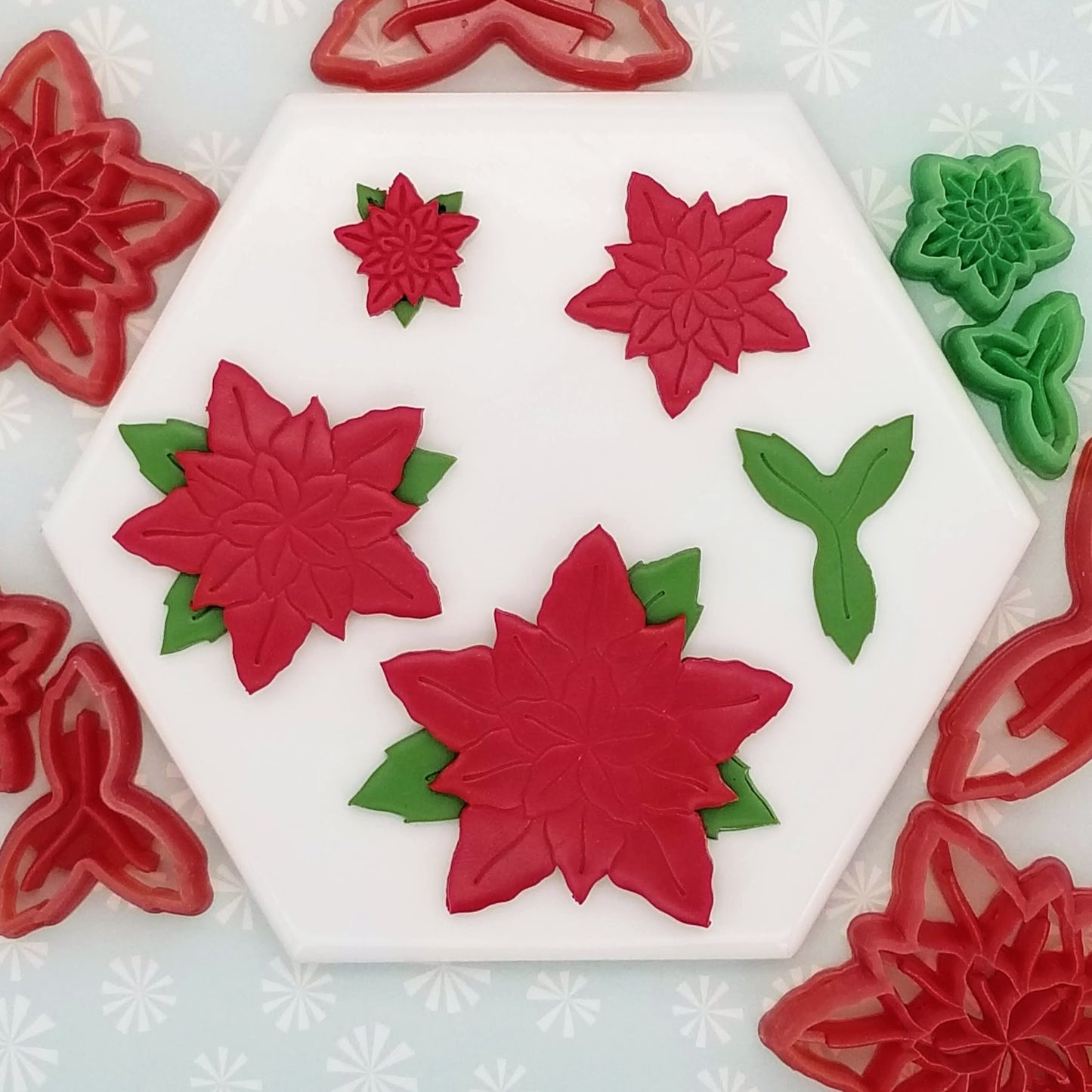 Poinsettia