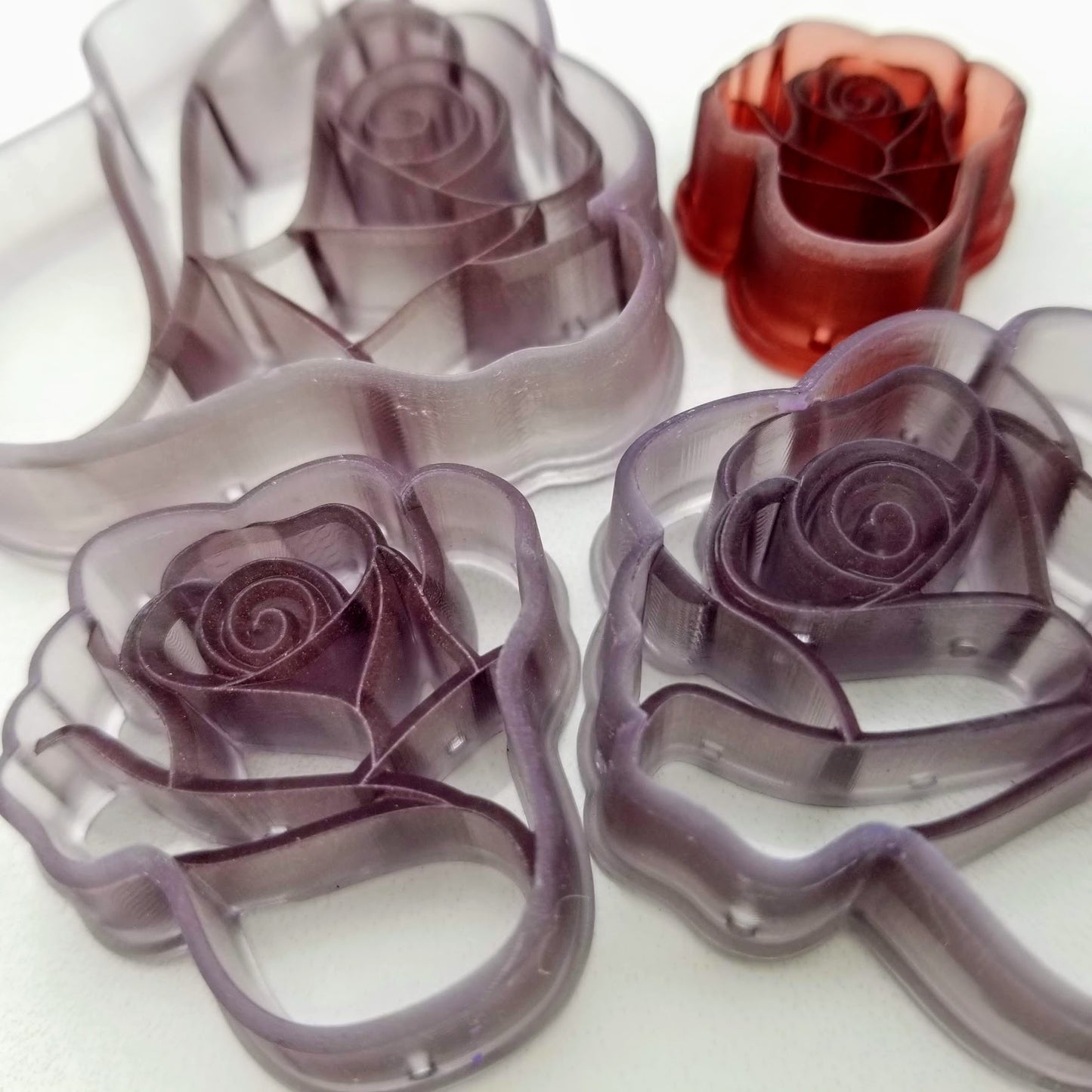 Young Rose