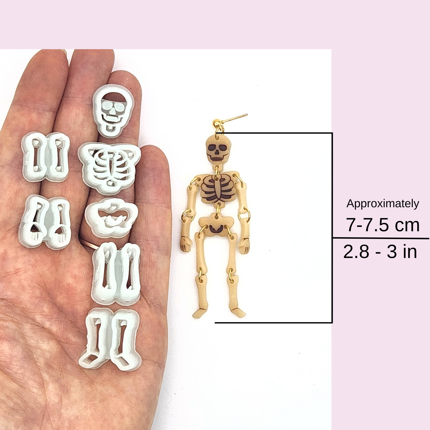 Skeleton Set