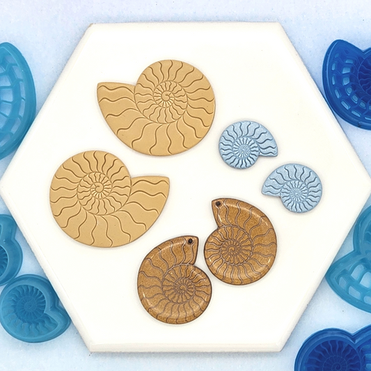 Ammonite Shells - Mirrored Pair