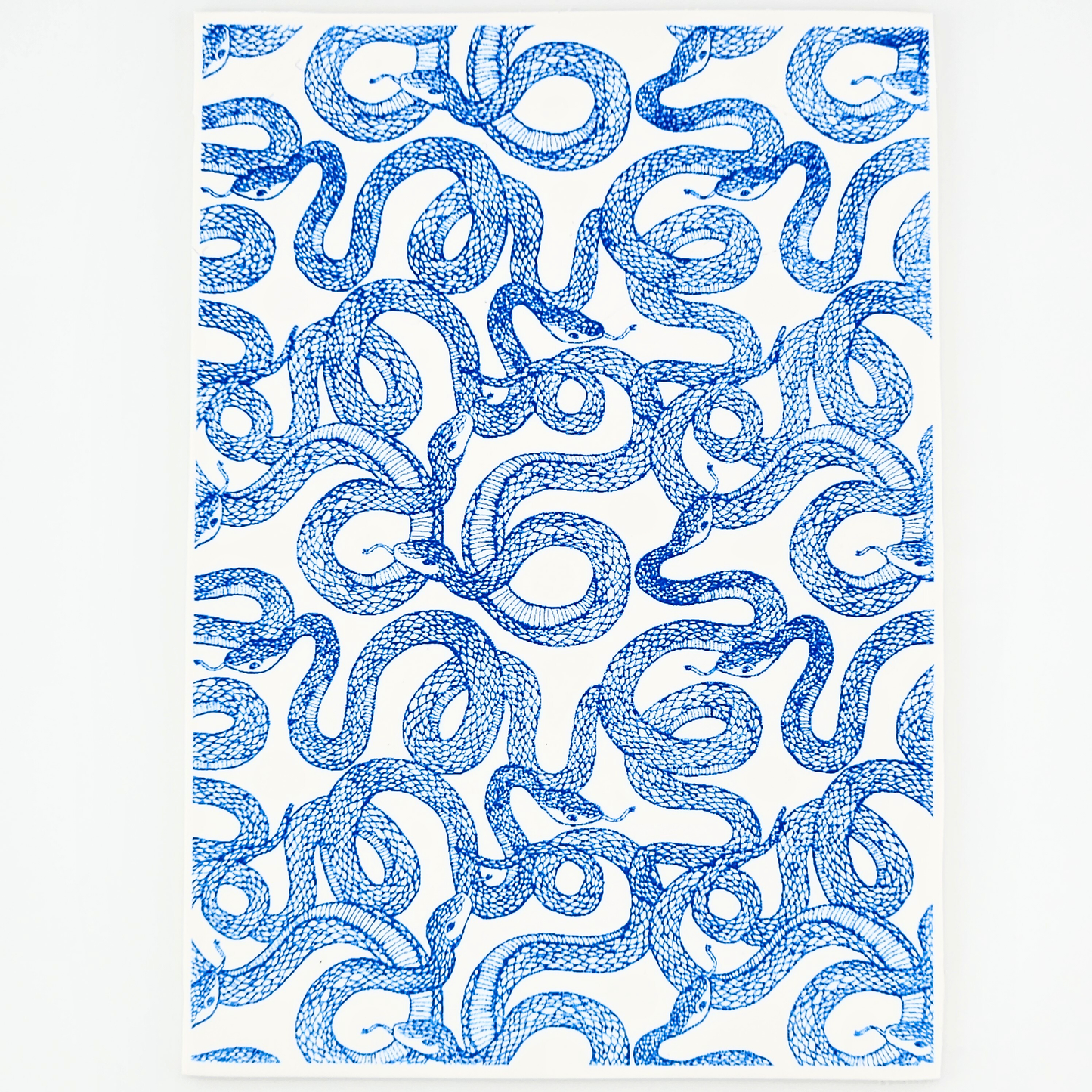 Slithering Snakes Polymer Clay Silk Screen