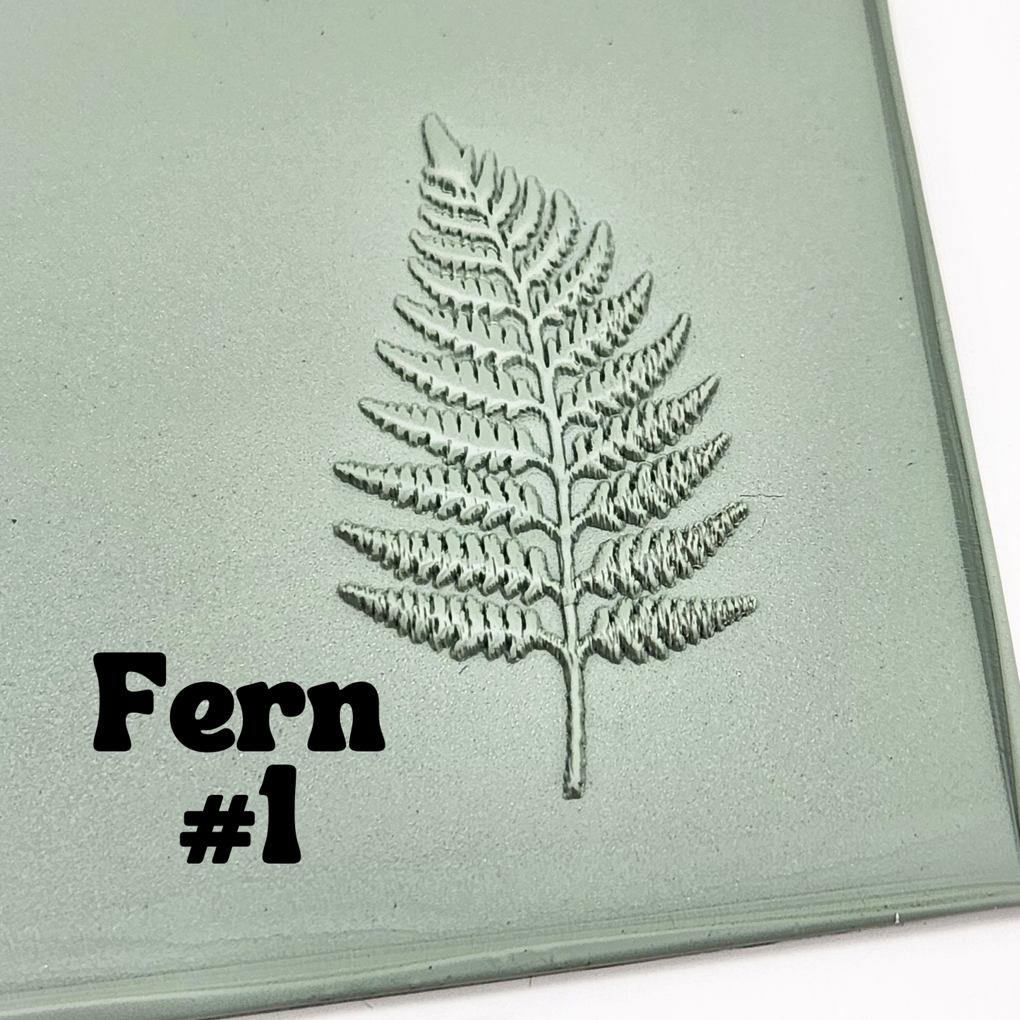 Fern Fronds Texture Sheets