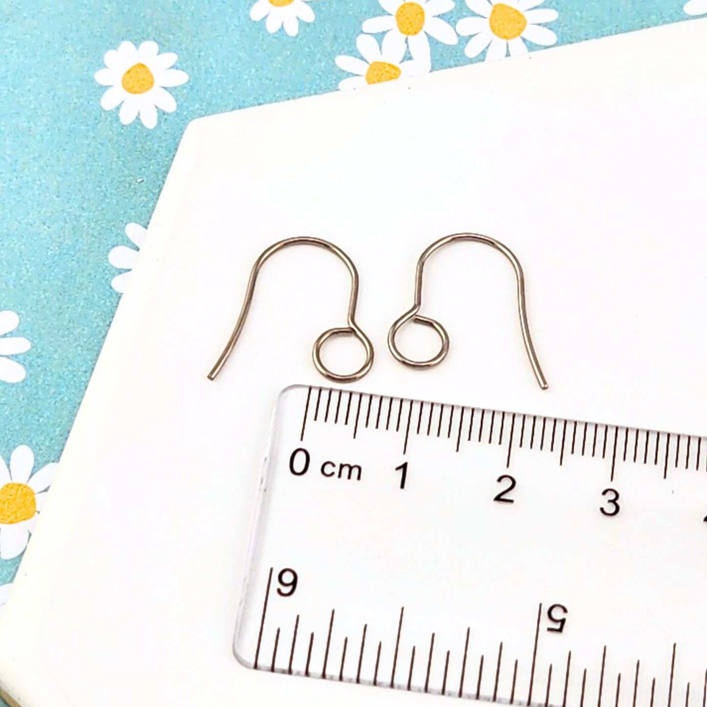 Silver 5 mm Large Loop Ear Wires – Stainless Steel French Hooks – Monarch Pine (20 Pieces)