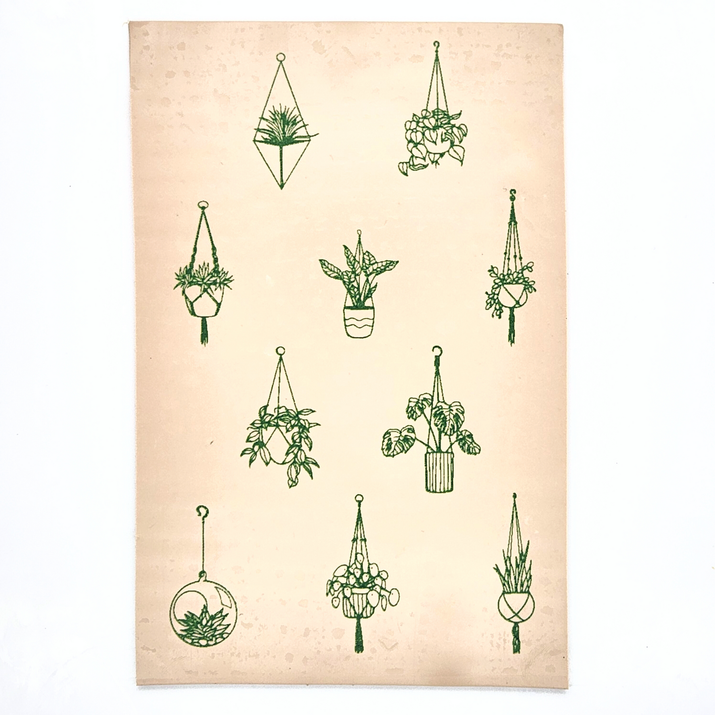 Hanging Plants Silk Screen