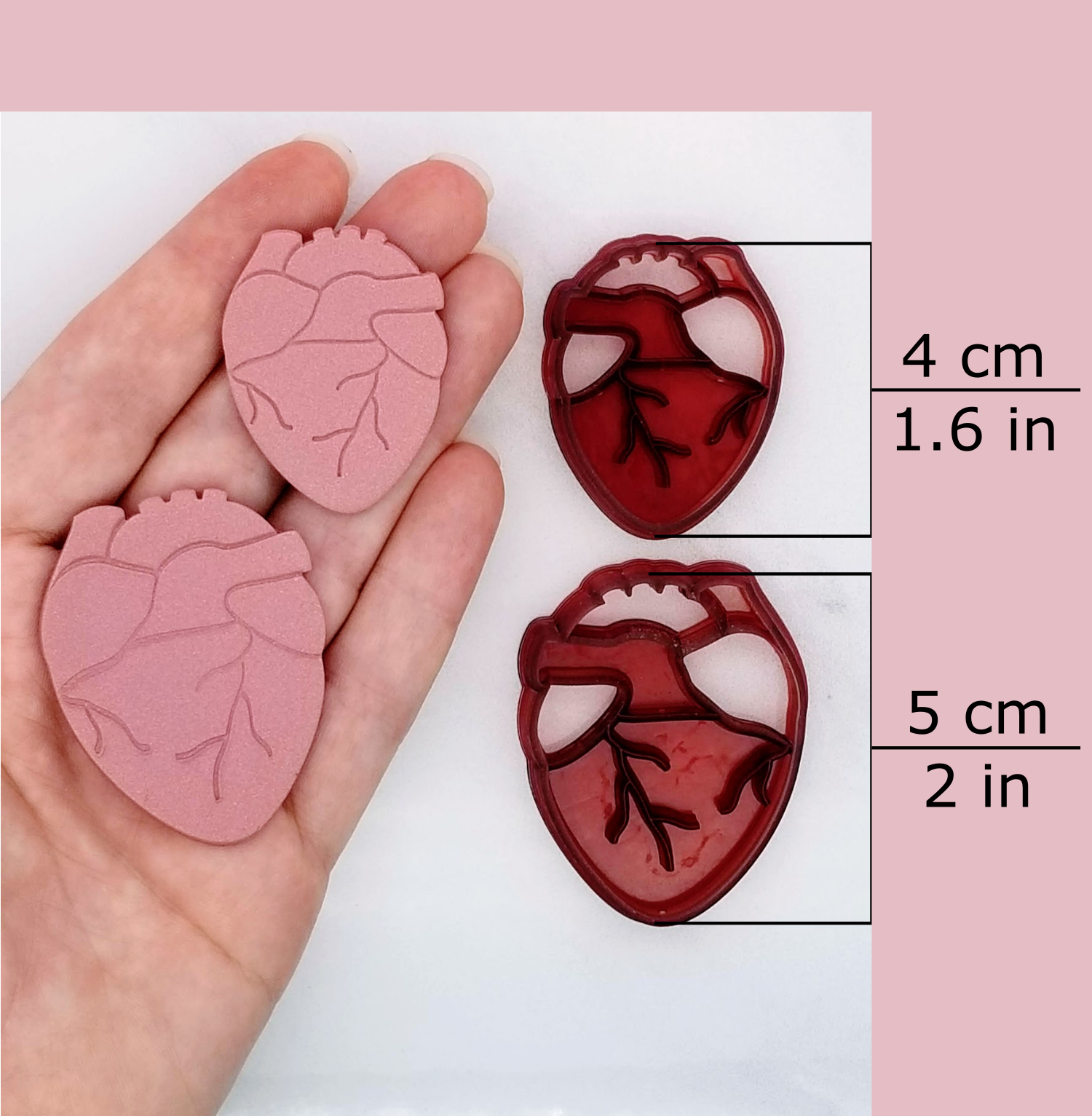 Anatomical heart clay cutter available sizes and sample finish product on polymer clay. Sizes: 4 centimeters / 1.6 inches, and 5 centimeters / 2 inches