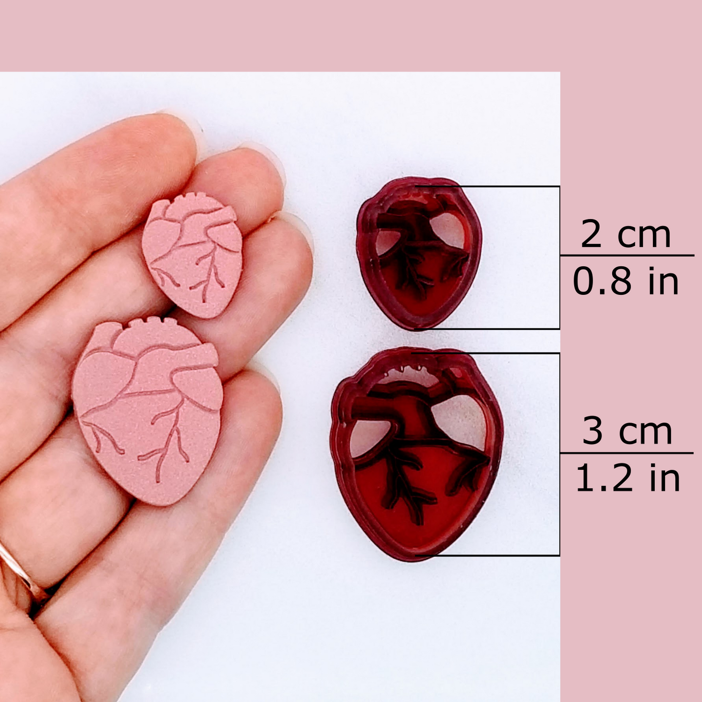 Anatomical heart clay cutter available sizes and sample finish product on polymer clay. Sizes: 2 centimeters / 0.8 inches, and 3 centimeters / 1.2 inches